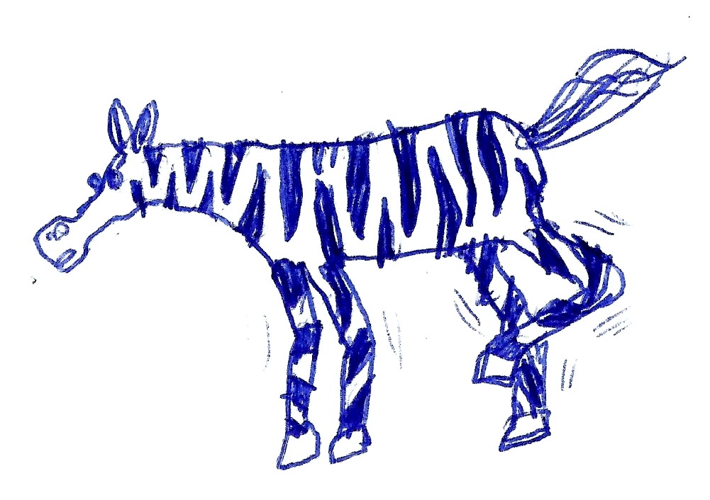 Animals - Zebra